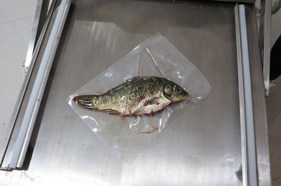 Elektrisch angetriebene Doppelkammer Vakuumverpackungsmaschine für Gemüse, Brot, Fisch und Meeresfrüchte 120 kg