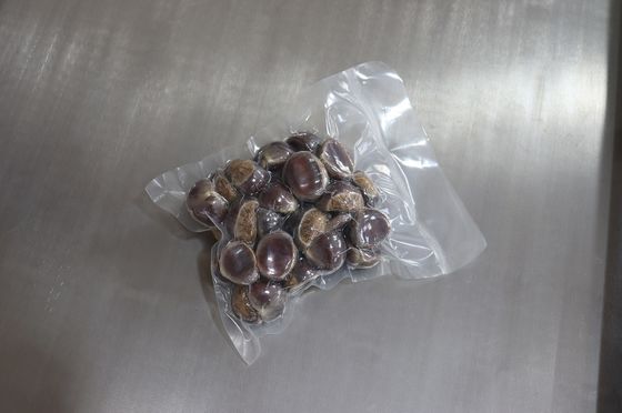Elektrisch angetriebene Doppelkammer Vakuumverpackungsmaschine für Gemüse, Brot, Fisch und Meeresfrüchte 120 kg