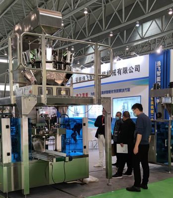 Automatisches Fütterungssystem Pulver Granulat Flüssigkeit Verpackungsmaschine für 10g-500g Beutel