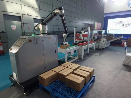 IP65 Verpackungslinie mit Gehäuse Karton-Tasche-Box Erektor Klappdichtungsdichtungs-Palletizer-System