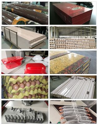Elektrisch angetriebene automatische Seitendichtungsverkleinerung für Hochgeschwindigkeitsverpackungslösungen
