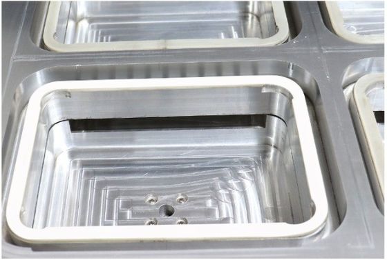 Vakuumverpackungsmaschine für das Versiegeln von Behältern in modifizierter Atmosphäre