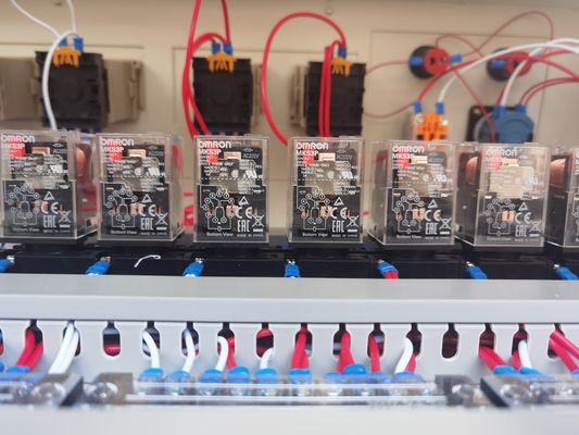 Automatische L-Bar-Schrumpfverpackungsmaschine für Tassen-Nudeln erfüllen Ihre Verpackungstechnischen Anforderungen