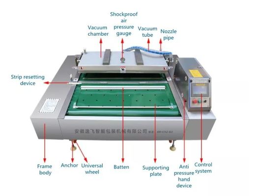 Elektrisch angetriebene 1000-Doppelstreifen-Auto-Bohnenprodukte und Wildgemüse-kontinuierliche Vakuumpakemaschine