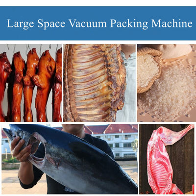 DZ-400/2L Vakuumdichtungsgerät für Fleisch Huhn Fisch Fisch Reis Meeresfisch Lamm von Lamm Verpackung